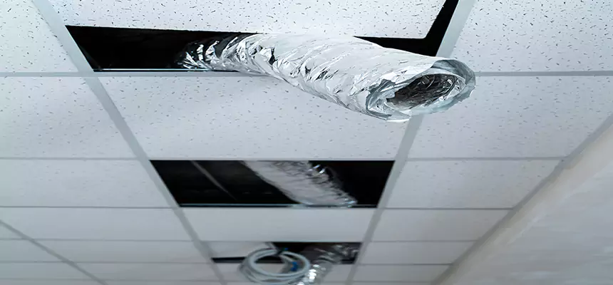 Our Air Duct Pet Hair Removal Services in North Babylon, NY