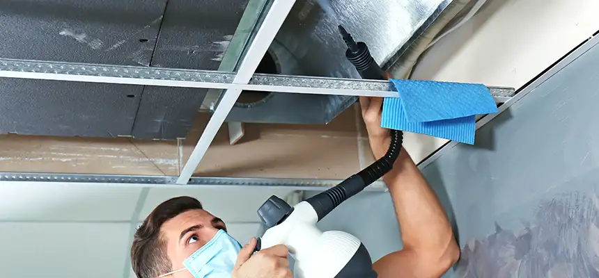 Our Air Duct Rodent Removal Services in North Babylon, NY