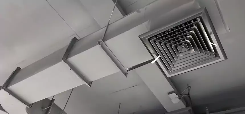 Restorative Allergy Relief Vent Cleaning – Coil, Blower & Housing Detail in North Babylon