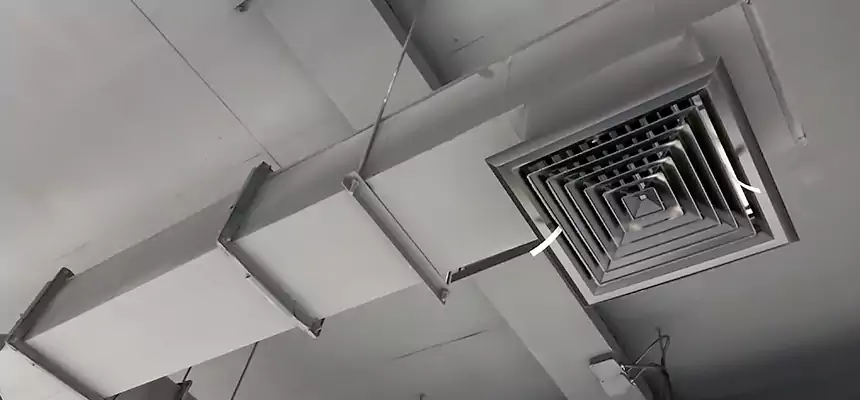 Our Rodent Droppings In Vents Services in North Babylon, NY