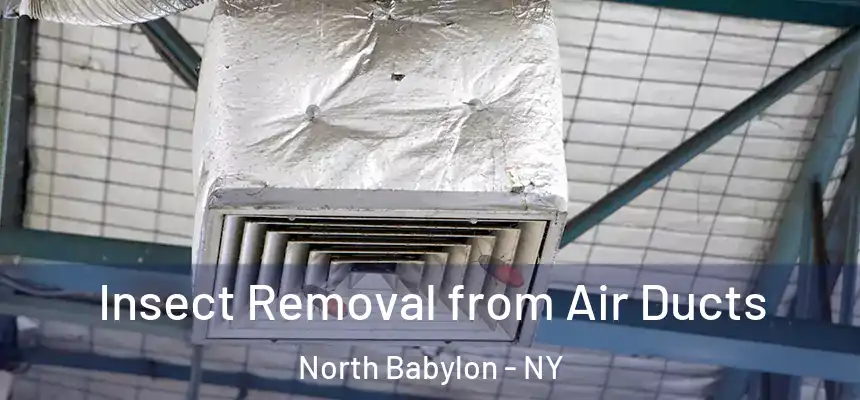 Insect Removal from Air Ducts North Babylon - NY