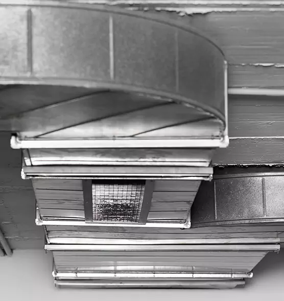 Professional Air Duct Pest Removal in North Babylon, NY