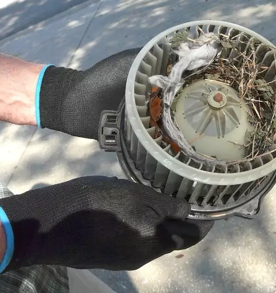 About Air Duct Rat Removal in North Babylon, NY