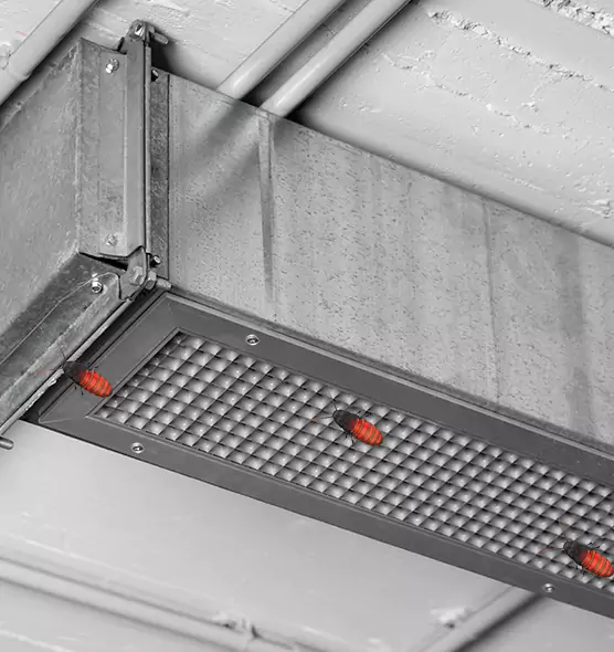 Affordable Insect Removal from Air Ducts in North Babylon, NY