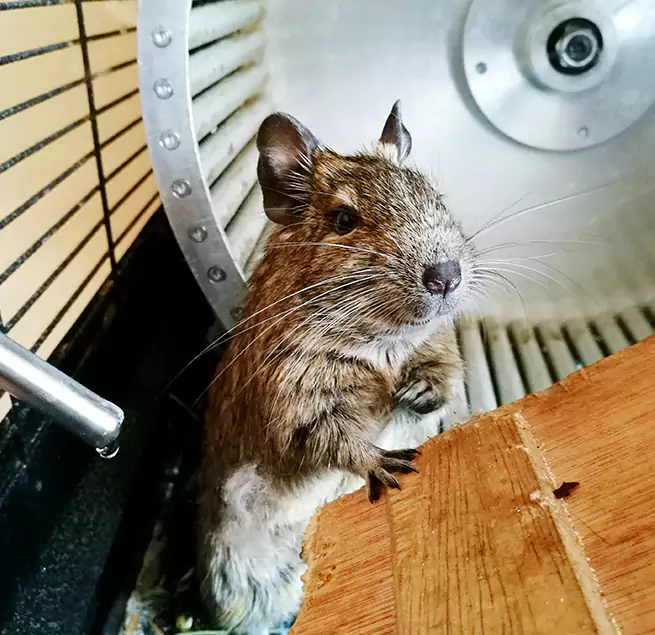 Why Homeowners & Businesses Trust Us North Babylon, NY